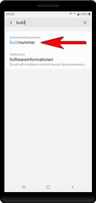 Geben Sie «build» ein und drücken Sie in der folgenden Liste «Buildnummer».