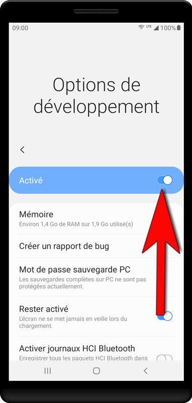 Les options de développement peuvent être désactivées à nouveau après le processus d'installation.