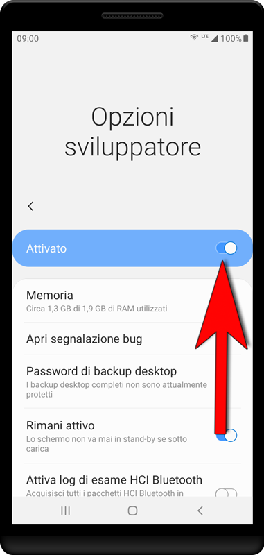 Le opzioni sviluppatore possono essere nuovamente disattivate dopo il processo di installazione.