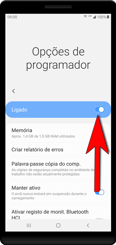 As opções do desenvolvedor podem ser desativadas novamente após o processo de instalação.