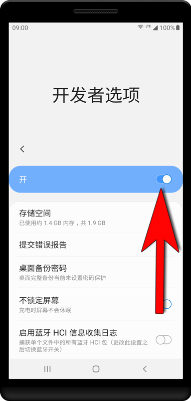 在安装过程之后,可以再次停用开发人员选项。
